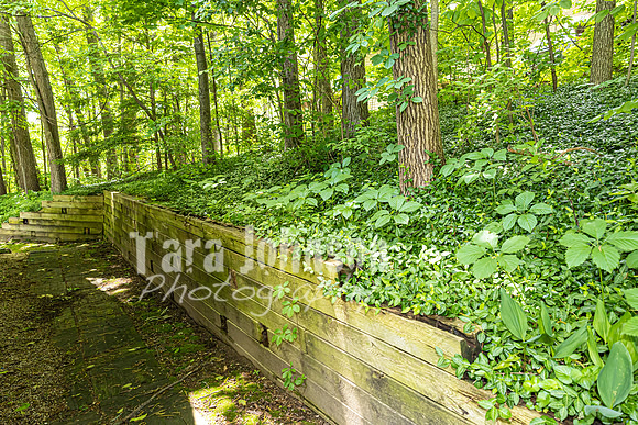 Homestead - 9073 Tartan Drive (8 MB max)- TJP (14 of 52)