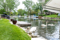 Homestead - 10321 Cedar Point Drive - TJP (15 of 40)