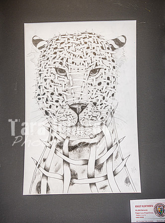 2025 OLSM Art Show - Art Selections - TJP (27 of 237)