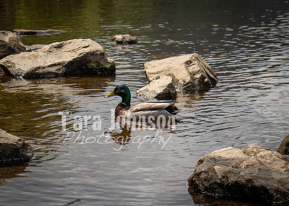 Glendalough Field Trip (64 of 117)