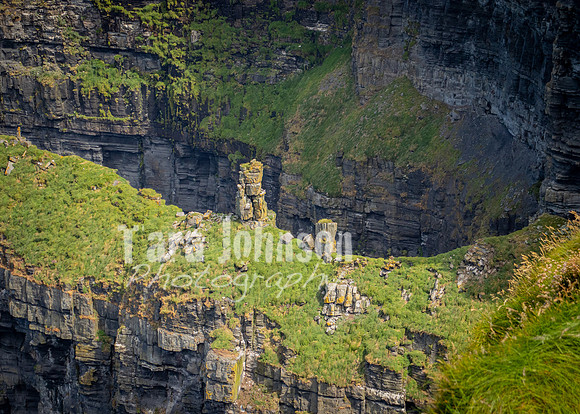 Cliffs of Moher Trip (45 of 96)