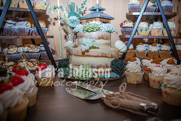 Michael & Ashlee McGrath - Venue - TJP (47 of 57)