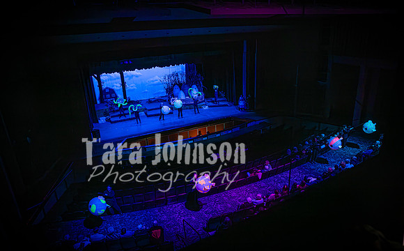 2024 MTC - Honk - Senior Show (Thursday) - TJP (55 of 360)