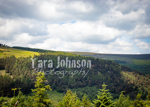 Glendalough Field Trip (75 of 117)