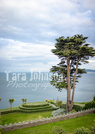 Killiney Hill Hike - Full Collection (13 of 77)