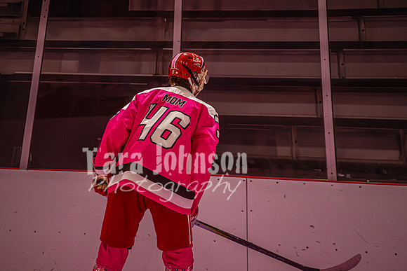 2025 Pink In The Rink- AA (29 of 29)