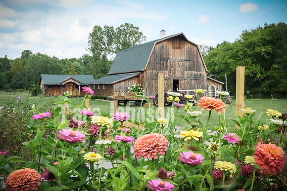 Zack & Emmy - Venue - TJP (16 of 84)