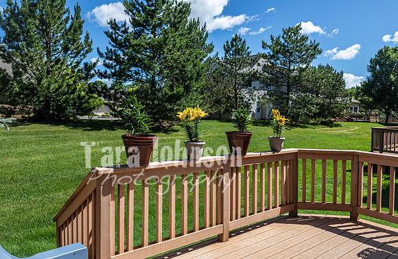 Homestead - 8118 Springdale - TJP (8 of 57)