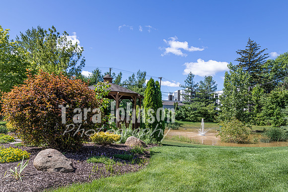 Homestead - 8118 Springdale - TJP (11 of 57)