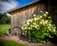 2023 Tyler & Karli Wedding - Venue - TJP (6 of 56)