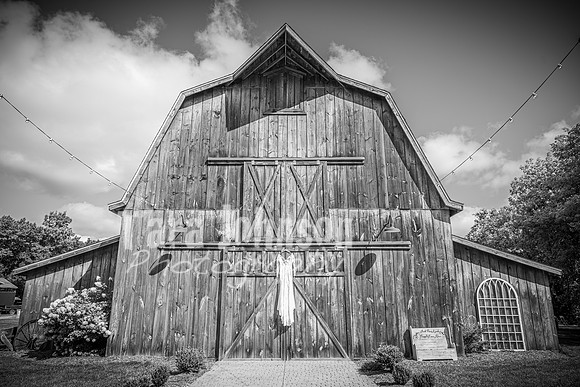 2023 Tyler & Karli Wedding - Complete - BW - TJP (23 of 843)