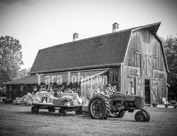 2023 Tyler & Karli Wedding - Complete - BW - TJP (47 of 843)