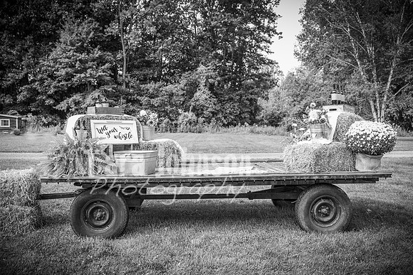 2023 Tyler & Karli Wedding - Complete - BW - TJP (49 of 843)