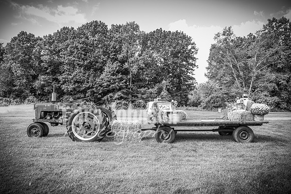 2023 Tyler & Karli Wedding - Complete - BW - TJP (50 of 843)