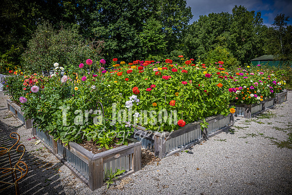 2023 Tyler & Karli Wedding - Venue - TJP (33 of 56)