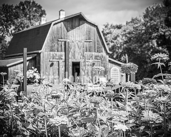 2023 Tyler & Karli Wedding - Complete - BW - TJP (74 of 843)