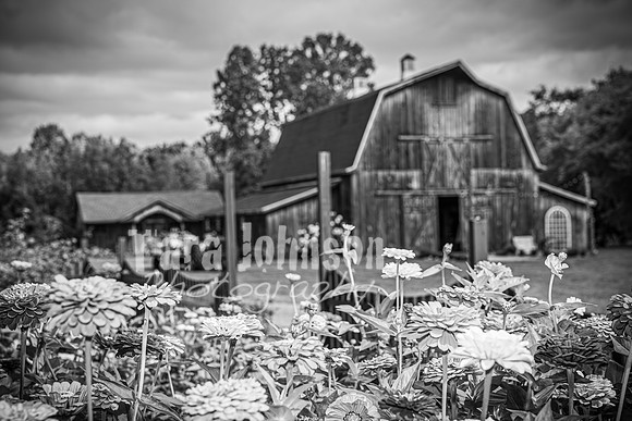 2023 Tyler & Karli Wedding - Complete - BW - TJP (75 of 843)