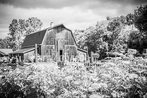 2023 Tyler & Karli Wedding - Complete - BW - TJP (73 of 843)