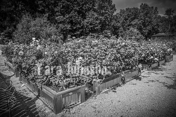 2023 Tyler & Karli Wedding - Complete - BW - TJP (90 of 843)