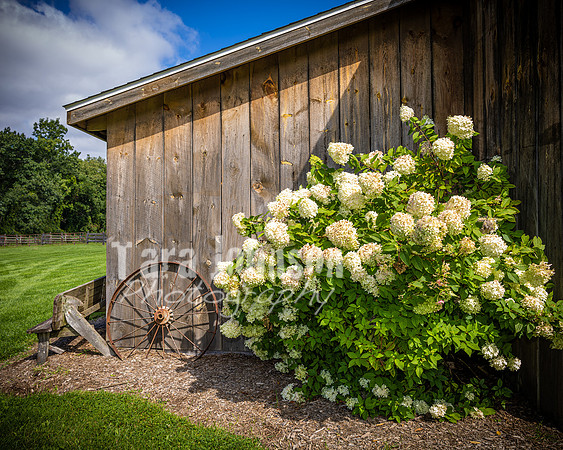 2023 Tyler & Karli Wedding - Complete - Color - TJP (50 of 841)
