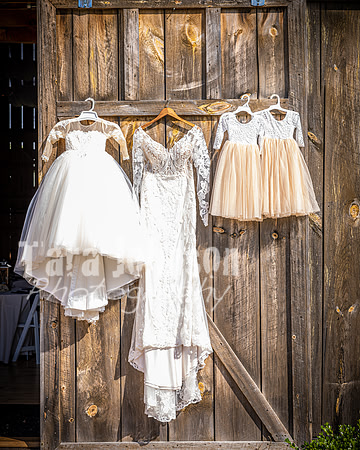 2023 Tyler & Karli Wedding - Bride & Groom - TJP (13 of 533)
