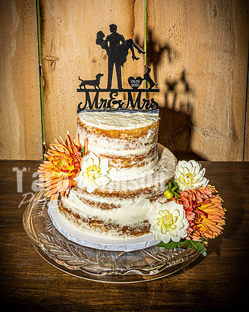 2023 Tyler & Karli Wedding - Highlights - TJP (97 of 221)