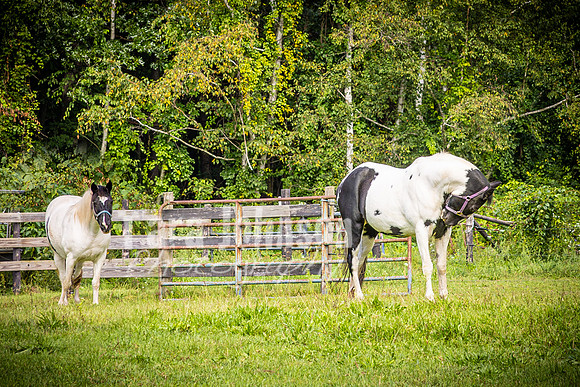 2023 Tyler & Karli Wedding - Complete - Color - TJP (67 of 841)