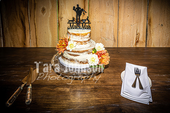 2023 Tyler & Karli Wedding - Bride & Groom - TJP (145 of 533)