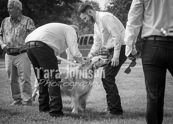 24 D & B Law Wedding - Full Collection B&W (146 of 308)