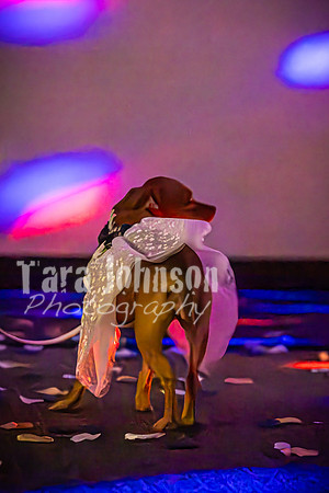 Mitch & Kelly - The Dance - TJP (95 of 99)