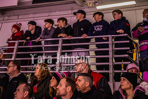 2025 Pink In The Rink- AA (16 of 29)