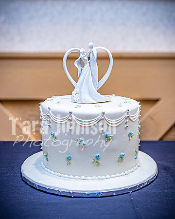 Ron & Michelle - Reception - TJP (10 of 90)