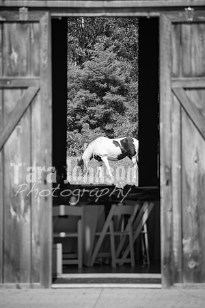 T. & K. Belill Wedding 23 - FC - B&W - DPH-12