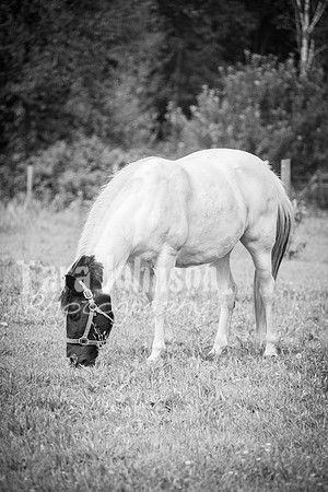 T. & K. Belill Wedding 23 - FC - B&W - DPH-41