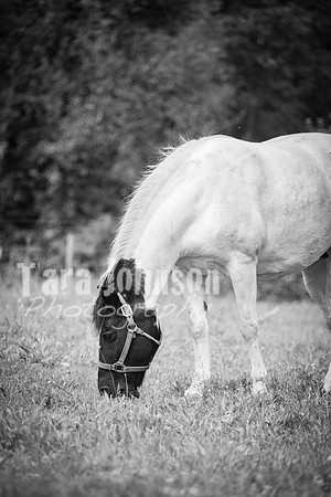 T. & K. Belill Wedding 23 - FC - B&W - DPH-42