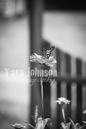 T. & K. Belill Wedding 23 - FC - B&W - DPH-50