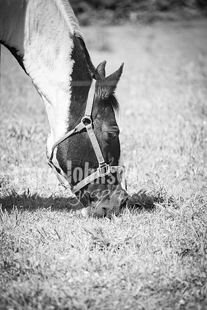T. & K. Belill Wedding 23 - FC - B&W - DPH-57