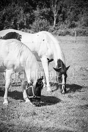 T. & K. Belill Wedding 23 - FC - B&W - DPH-60