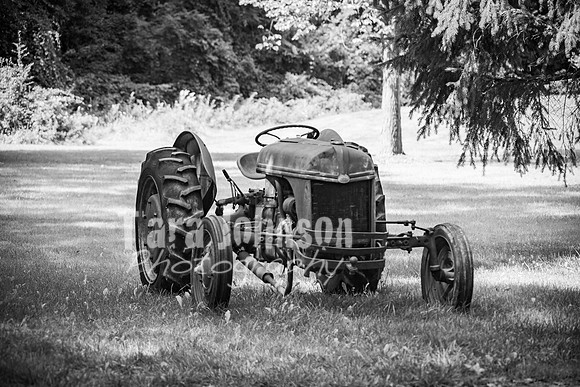 T. & K. Belill Wedding 23 - FC - B&W - DPH-66