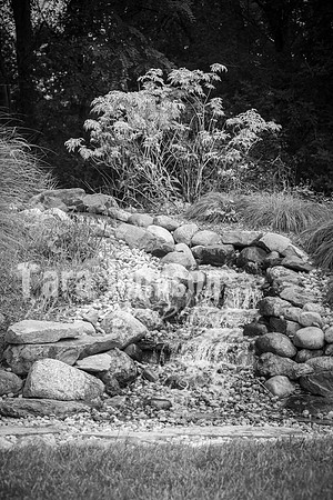 T. & K. Belill Wedding 23 - FC - B&W - DPH-72