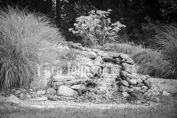 T. & K. Belill Wedding 23 - FC - B&W - DPH-73