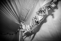 Alex and Rachel - Highlights - BW - TJP (3 of 124)