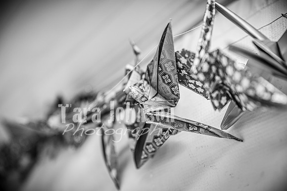 Alex and Rachel - Highlights - BW - TJP (4 of 124)