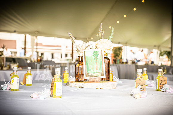 Alex and Rachel - Venue - TJP (68 of 73)
