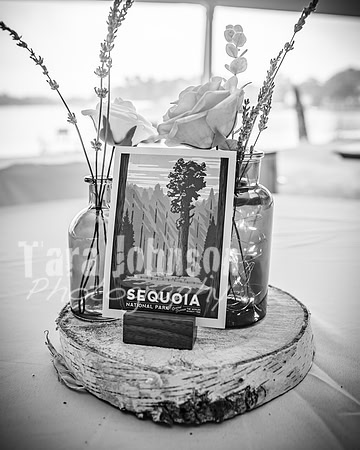 Alex and Rachel - Highlights - BW - TJP (17 of 124)