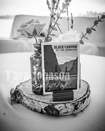 Alex and Rachel - Highlights - BW - TJP (19 of 124)