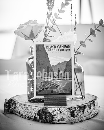 Alex and Rachel - Highlights - BW - TJP (22 of 124)