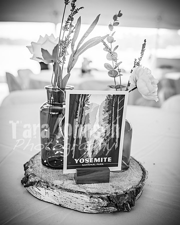 Alex and Rachel - Highlights - BW - TJP (24 of 124)