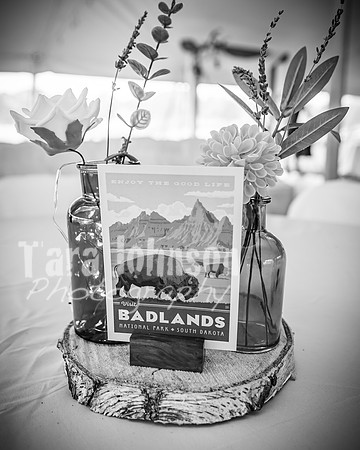 Alex and Rachel - Highlights - BW - TJP (30 of 124)