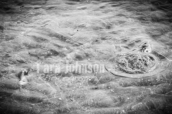 Alex and Rachel - Highlights - BW - TJP (38 of 124)